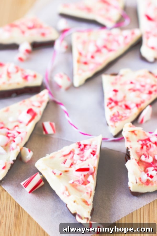 Top down shot of chocolate peppermint bark on parchment paper. 