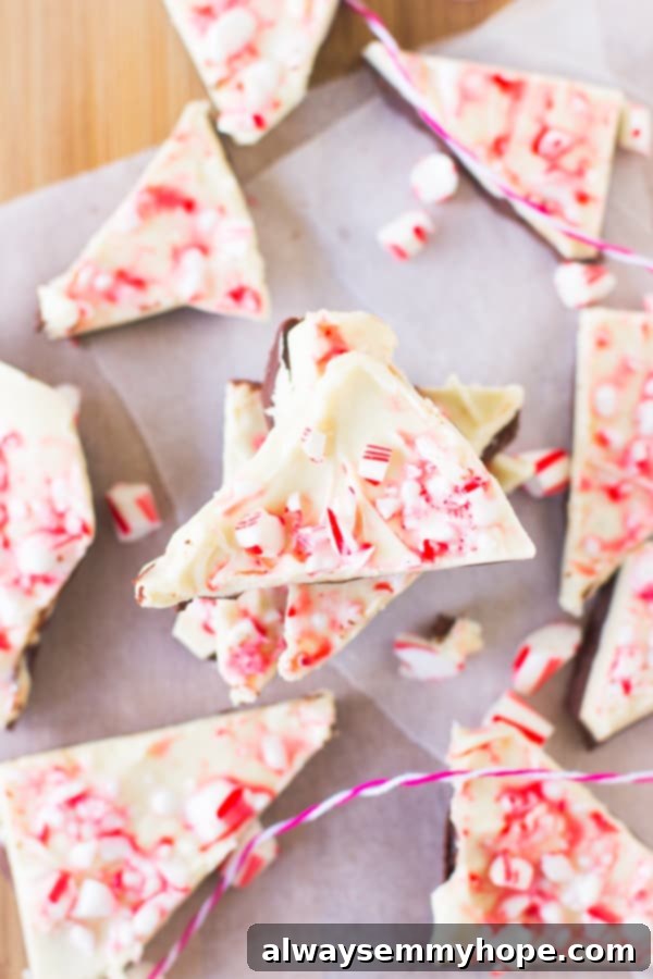 Overhead shot of chocolate bark on parchment. 