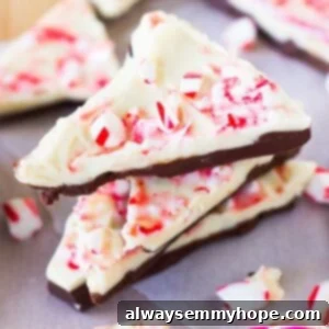 Chocolate bark on parchment paper.