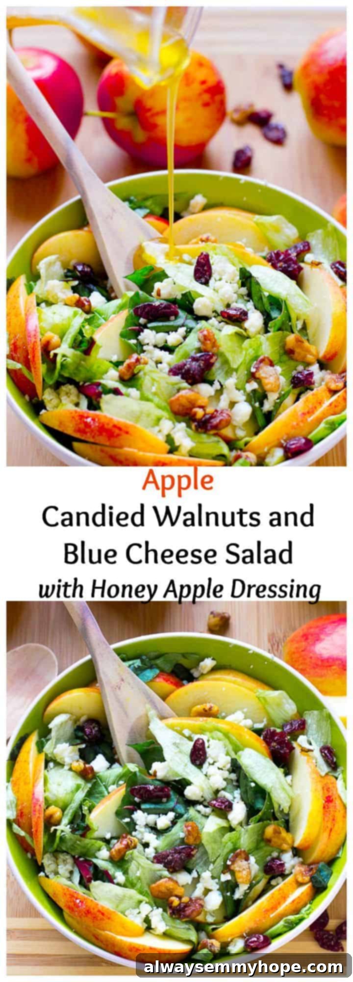 Apple and Blue Cheese Salad with Honey-Apple Vinaigrette 8 This Apple Candied Walnuts and Blue Cheese Salad with Honey Apple Dressing is filled with fall flavours, sweet, and crunchy!