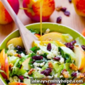 Apple and Blue Cheese Salad with Honey-Apple Vinaigrette 9 Apple, candied walnuts and Blue Cheese Salad in a white bowl with dressing.