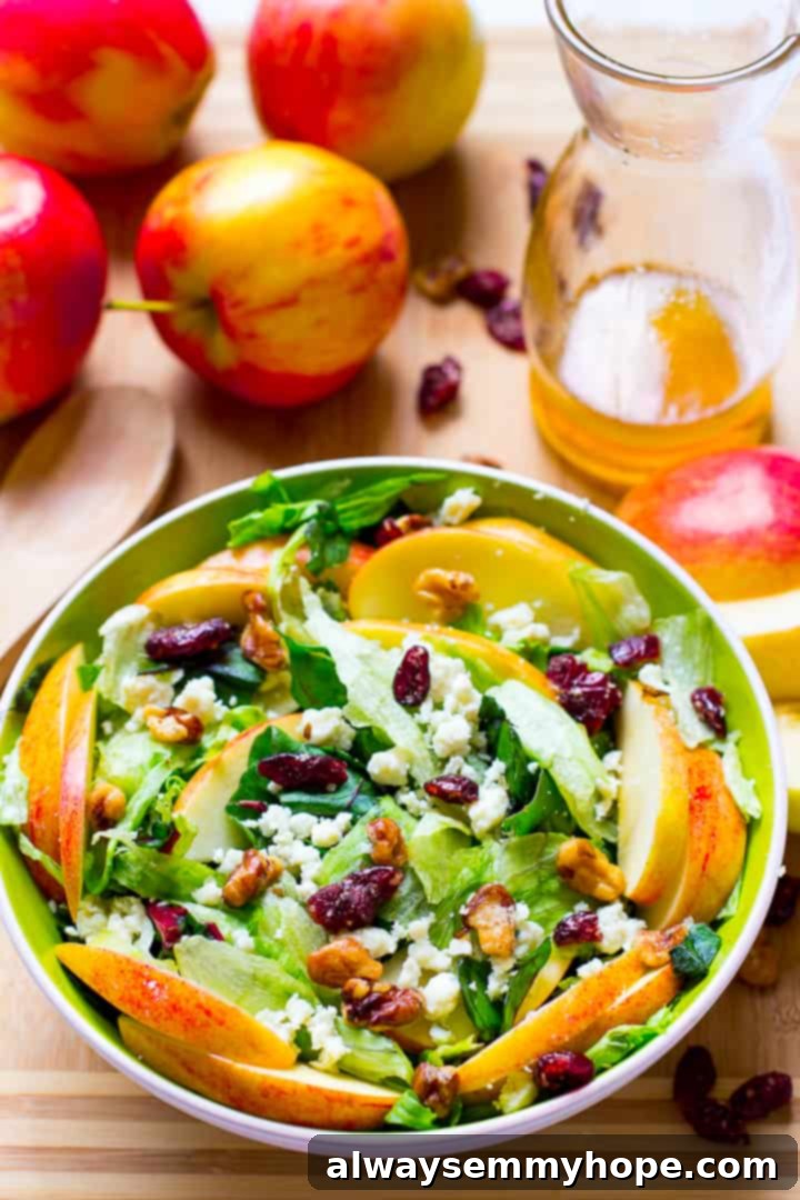 Apple and Blue Cheese Salad with Honey-Apple Vinaigrette 4 Overhead view of a gourmet apple, candied walnut, and blue cheese salad, drizzled with sweet Honey Apple Dressing, served in a stylish bowl.