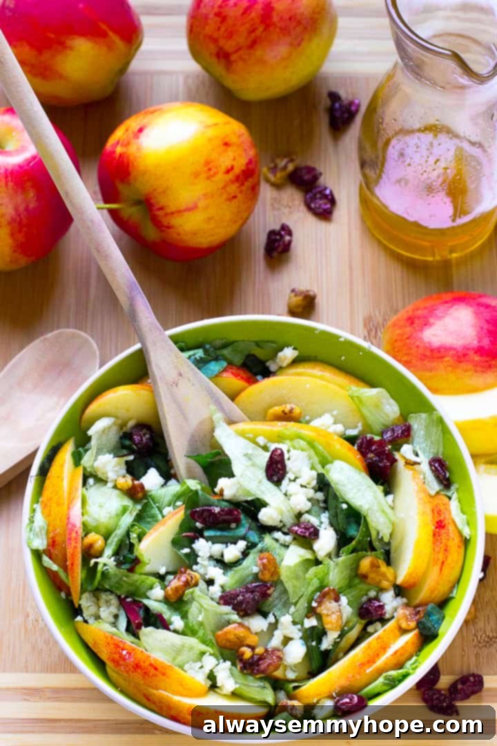 Apple and Blue Cheese Salad with Honey-Apple Vinaigrette 6 Top-down perspective of a beautifully arranged apple, candied walnut, and blue cheese salad with a wooden spoon, highlighting the dressing.