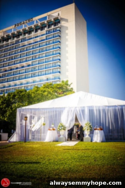 Happy New Year and a Medical Update 7 A beautifully decorated wedding marquee, ready for guests.