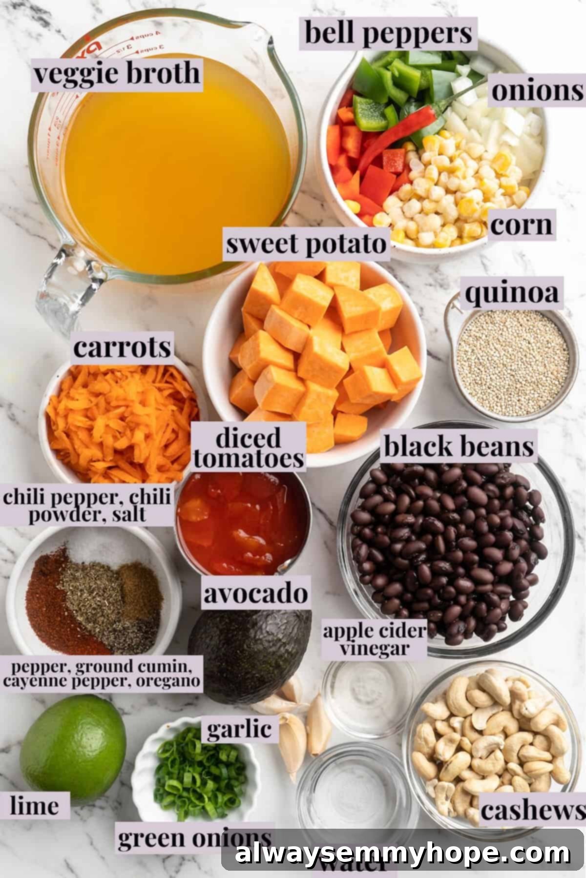 Overhead view of ingredients for sweet potato and black bean chili with labels