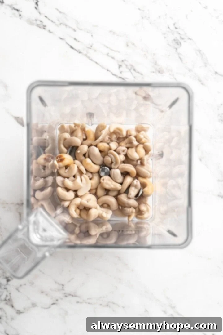 Overhead view of ingredients for cashew sour cream in blender