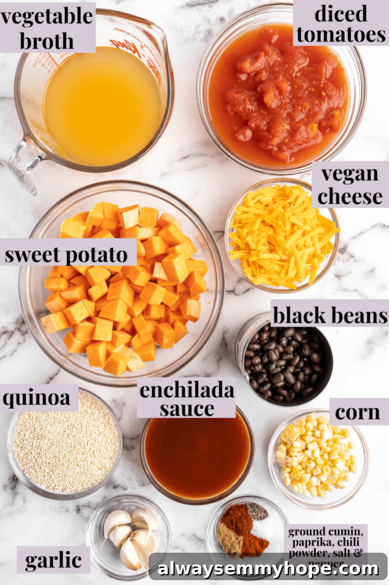 Overhead shot of a vegan enchilada skillet with a helpful graphic overlay highlighting key ingredients and their placement within the dish.