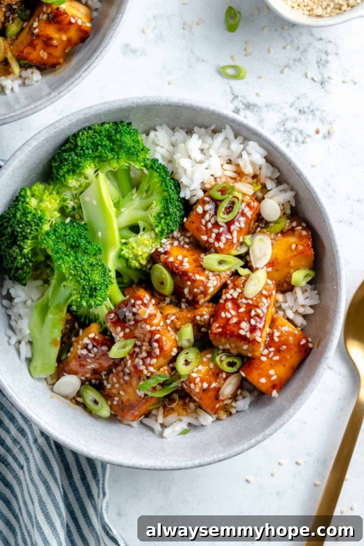 Plate of tofu with teriyaki sauce and broccoli.