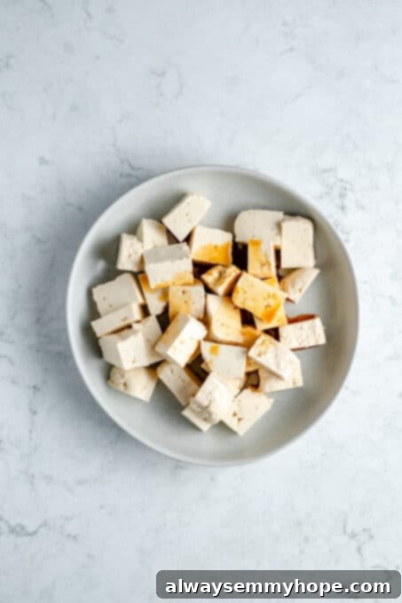 Plate of cubed tofu with soy sauce.