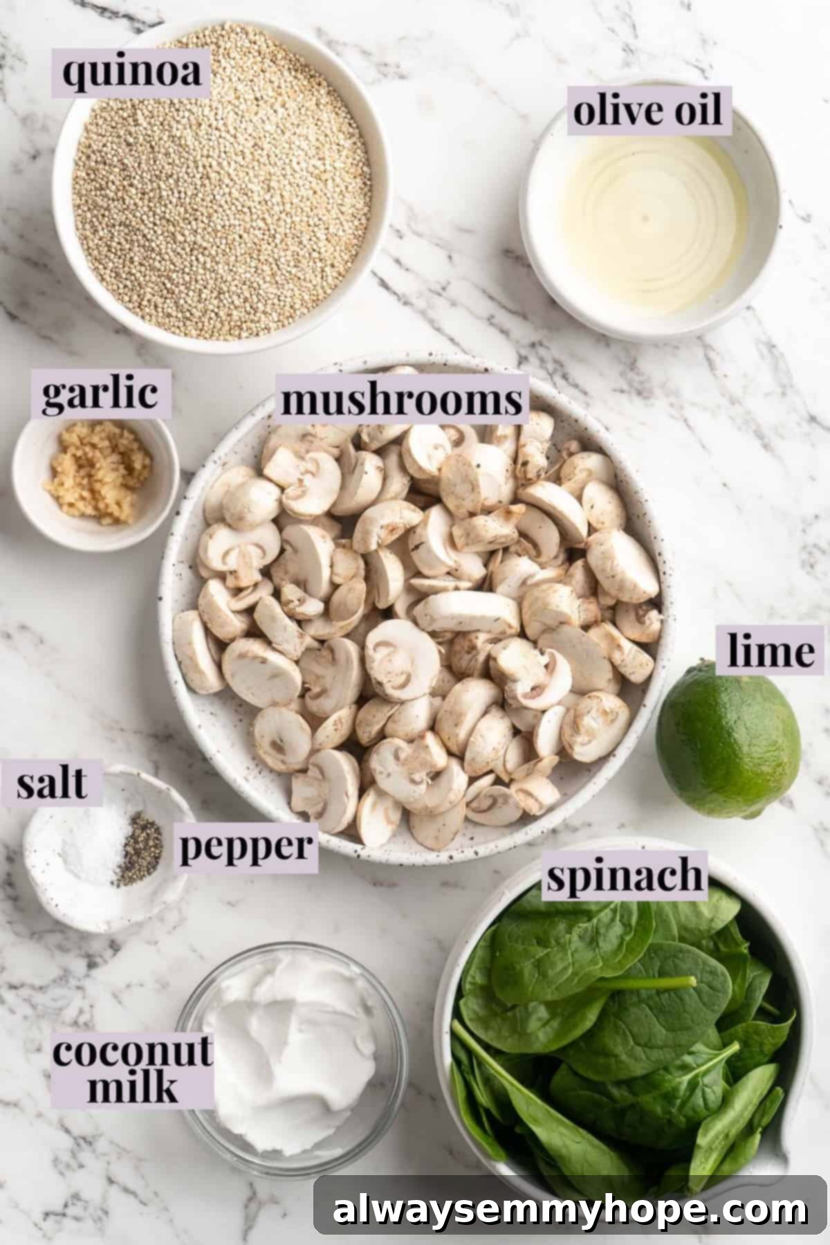 Overhead view of fresh ingredients for coconut creamy spinach and mushroom quinoa laid out with labels, including quinoa, garlic, mushrooms, spinach, and coconut milk.