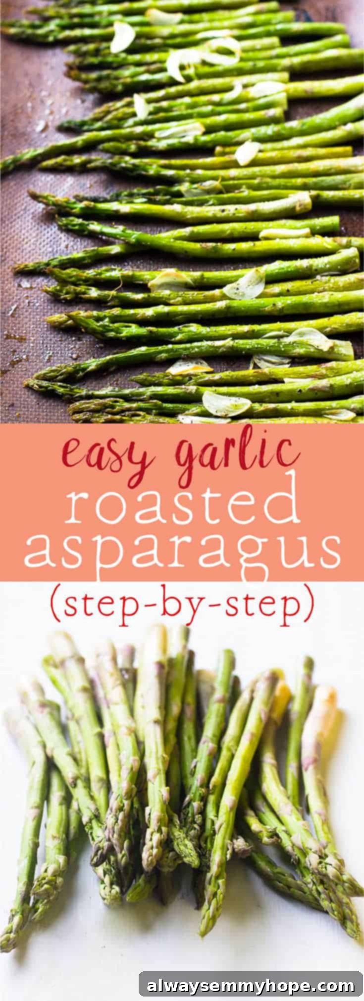 Garlic Roasted Asparagus is a must-make staple dish in my house. They are crunchy and flavourful. Here's a step-by-step how to guide for roasting asparagus. via https://jessicainthekitchen.com