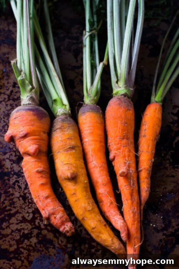 Sweet Maple Carrots with Zesty Greens Chimichurri 3 A vibrant row of raw carrots, showcasing natural variations in color and shape.