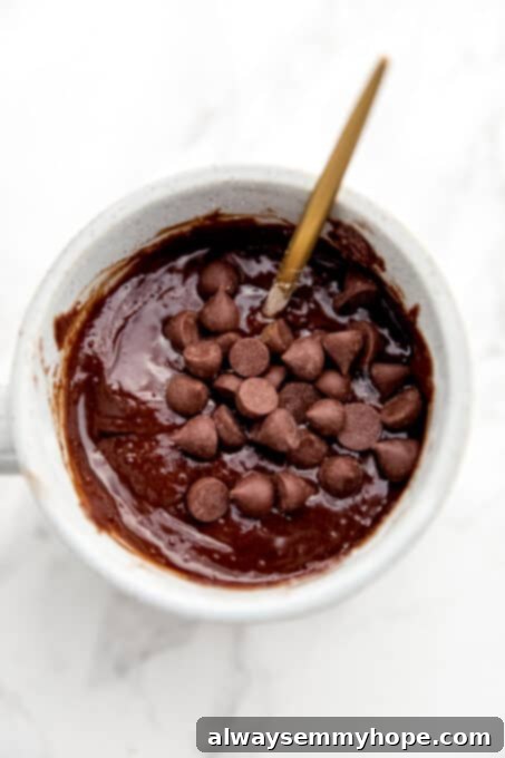 Easy Vegan Mug Brownie 11 Brownie batter and chocolate chips in a mug.