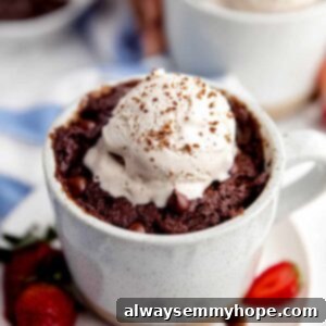 Easy Vegan Mug Brownie 14 Fudgy mug brownie with vanilla ice cream.