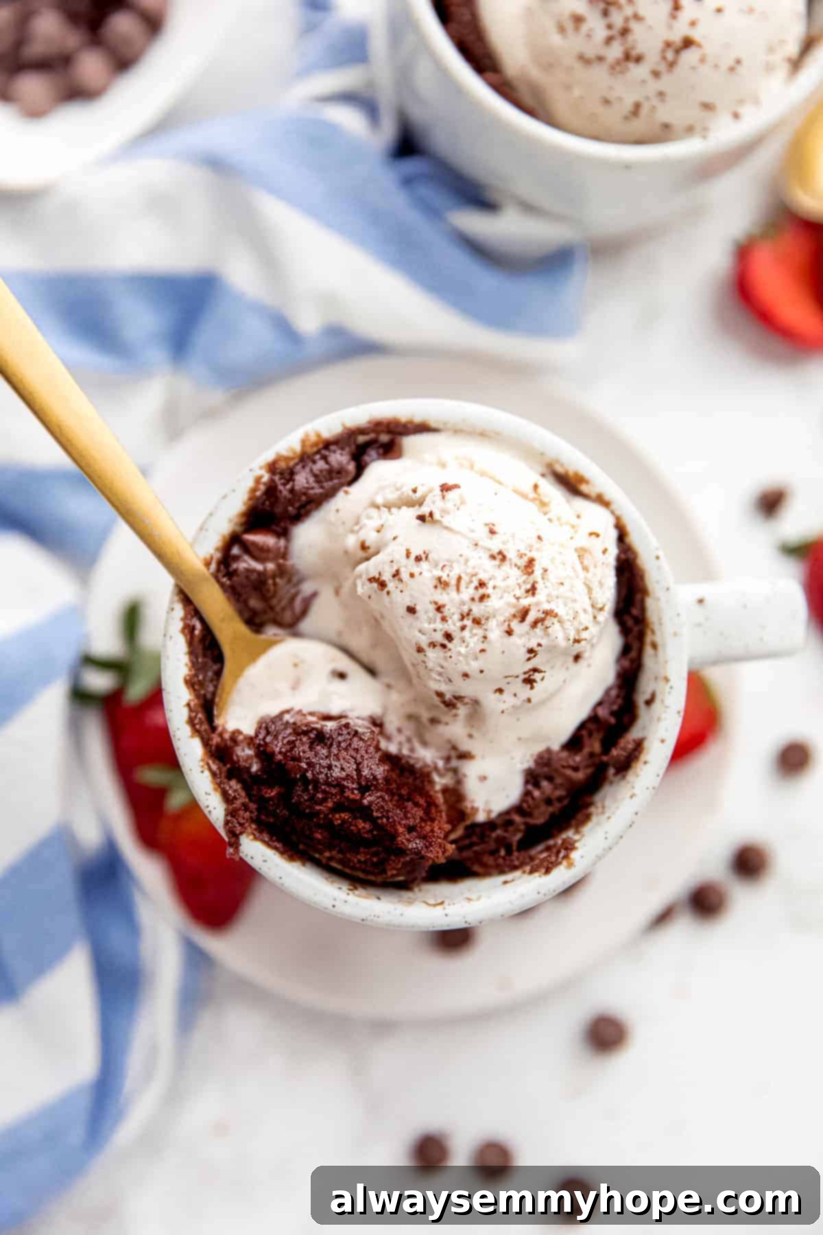 Easy Vegan Mug Brownie 3 Mug brownie with ice cream.