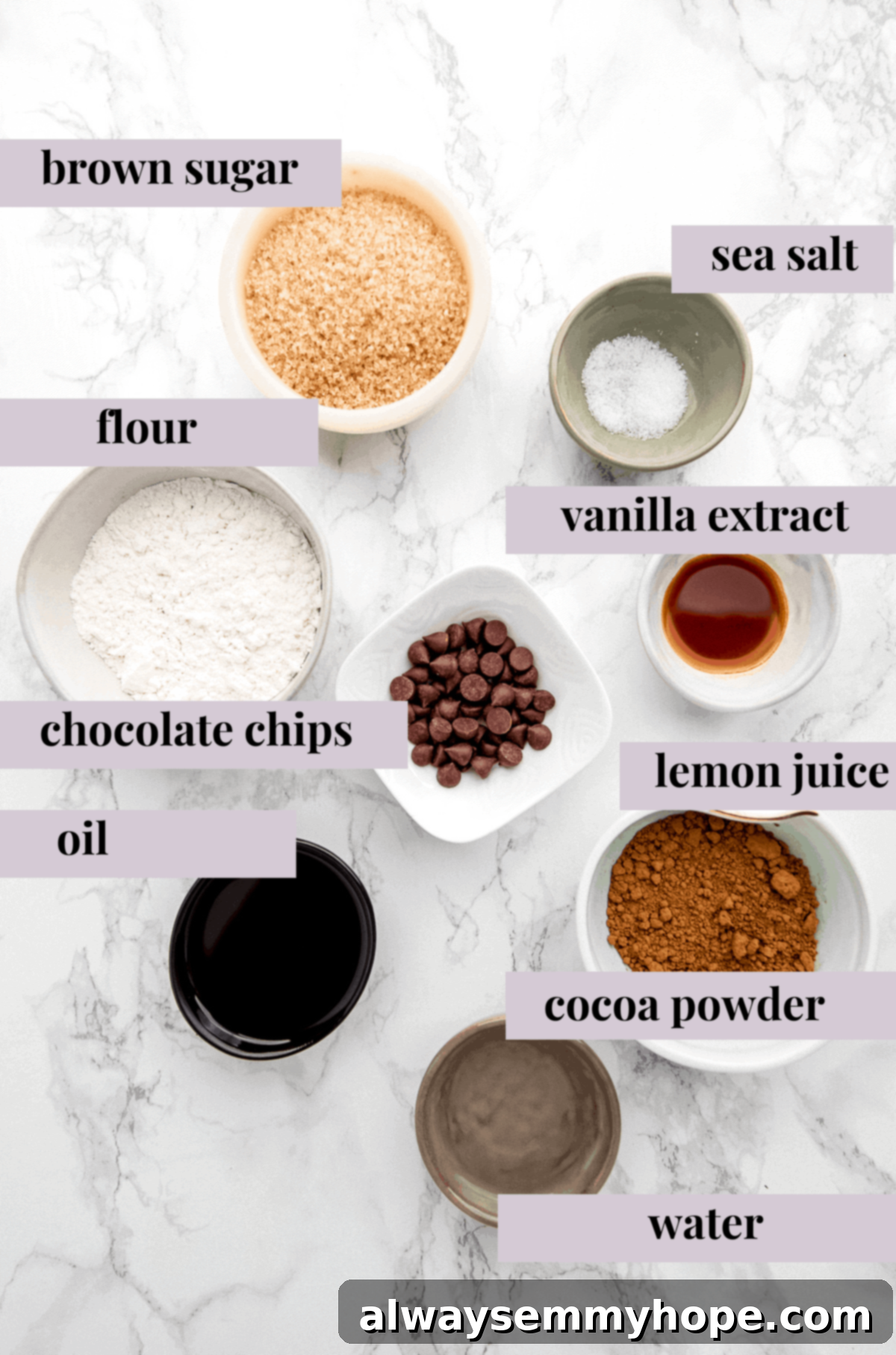 Easy Vegan Mug Brownie 5 Ingredients for a mug brownie.