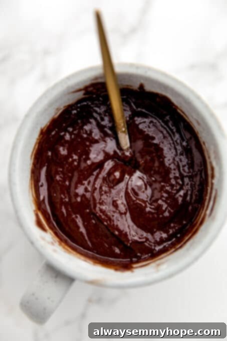 Easy Vegan Mug Brownie 10 Brownie batter and oil in a mug.