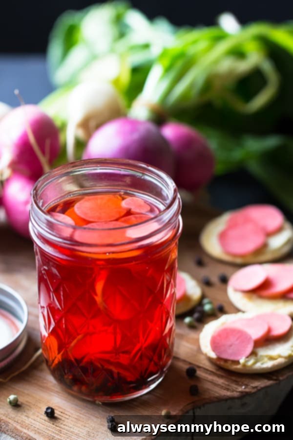 Quick pickled radishes in a glass on a wooden board. Quick pickled radishes in a glass jar on a wooden board, with fresh radishes scattered nearby.