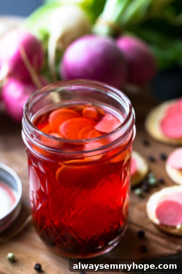Side shot of pickled radishes in a glass. Side view of a glass jar filled with vibrant quick pickled radishes, ready to be enjoyed.
