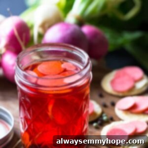 Instant Pickled Radishes 2 Pickle radishes in a glass jar on a board with radishes in the background.