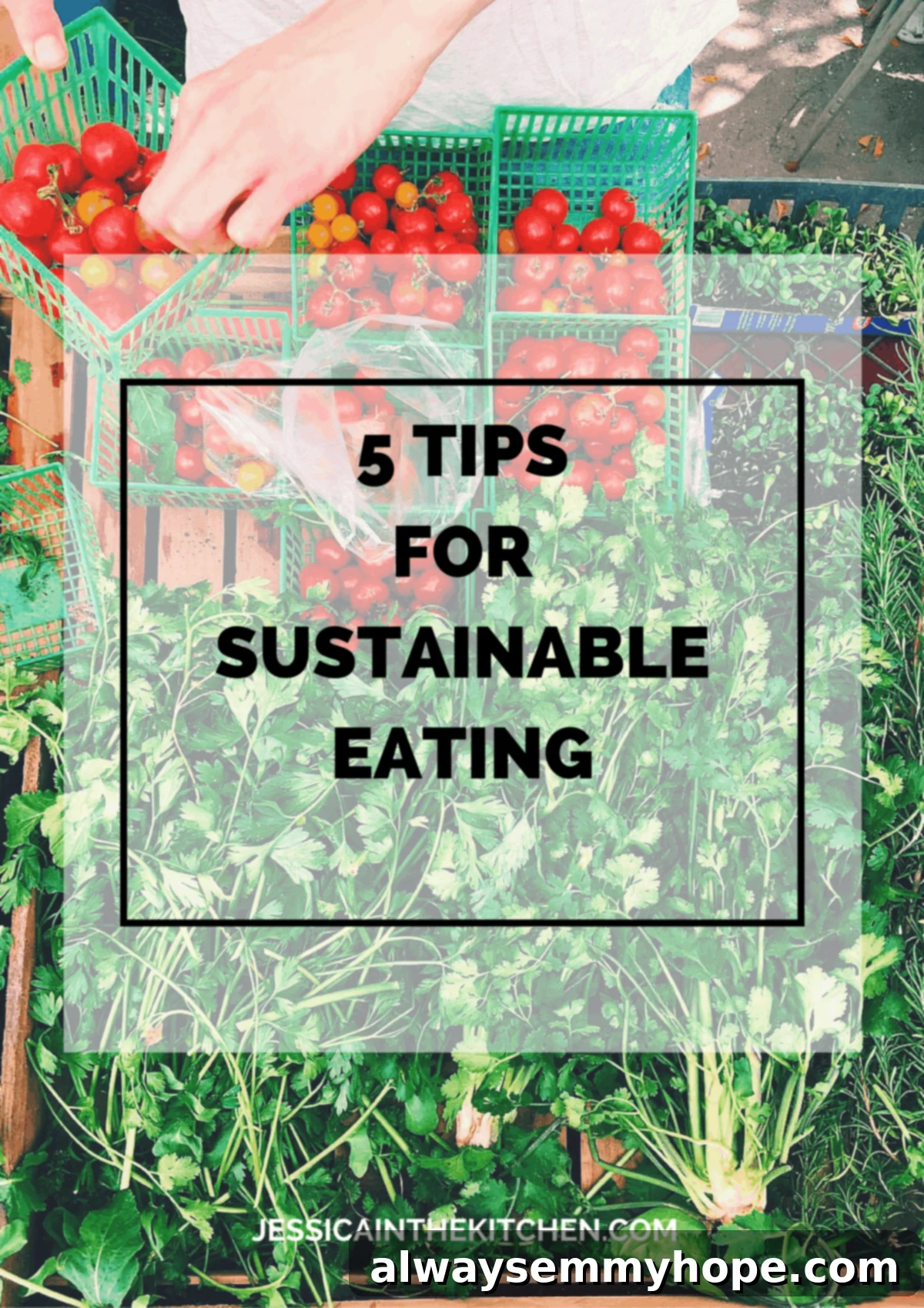 Sustainable Eating Made Easy 5 Tips 2 Fresh, vibrant produce arranged on a wooden table, symbolizing farm-to-table sustainable eating.