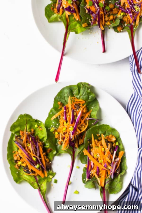 Overhead shot of vegan asian swiss chard wraps on a white plate.