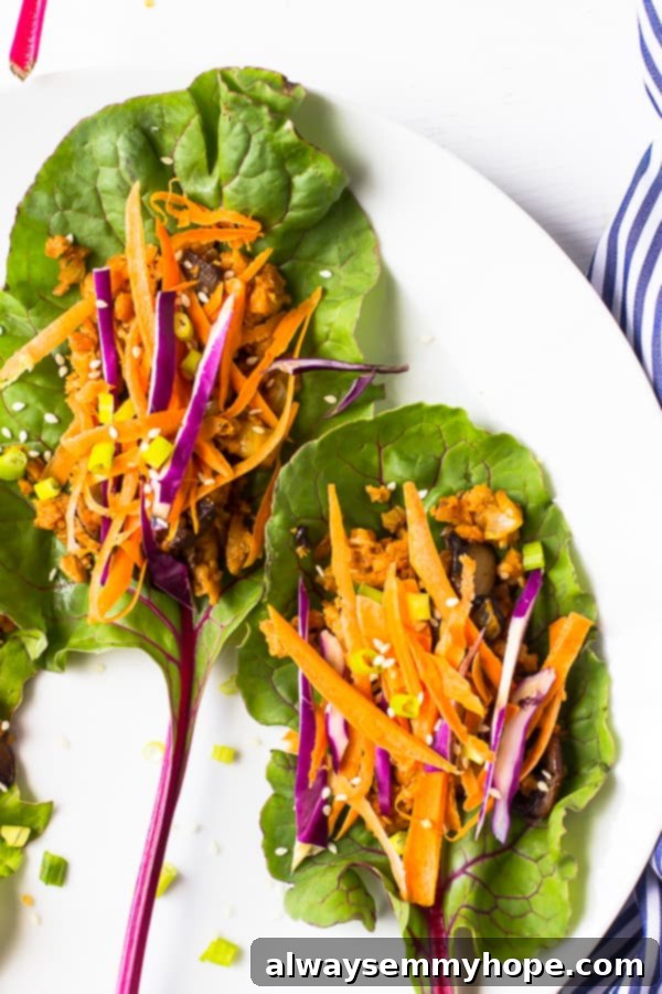 Overhead shot of Vegan asian swiss chard wraps on a white background. 
