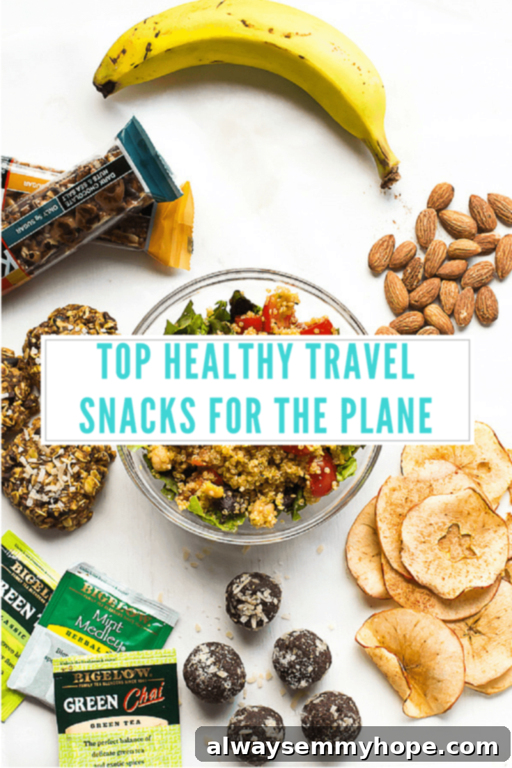 Top Travel Snacks for the Plane - A curated selection of healthy, satisfying, and convenient food items perfect for long flights and airport waits.