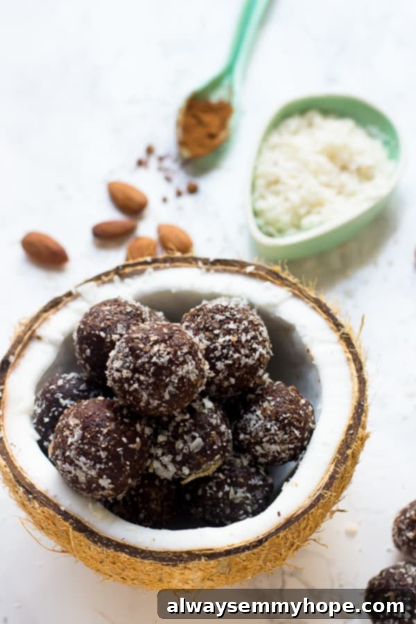 A cluster of homemade no-bake brownie energy bites nestled in half of a dried coconut shell, with the raw ingredients blurred in the background.
