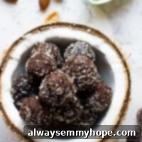 Brownie energy bites in a pile inside of a half of a dried coconut shell.