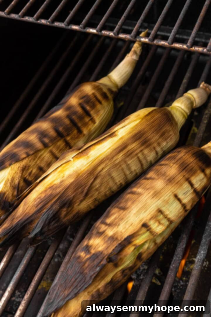 Grilling Corn on the Cob for Elotes. Fresh corn on the cob grilling over high heat.