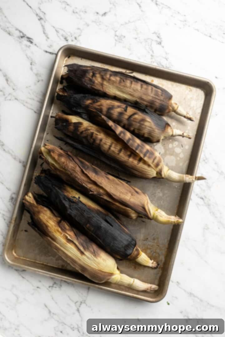 Removing Husks from Grilled Corn. Overhead view of grilled corn on a pan before removing husks.