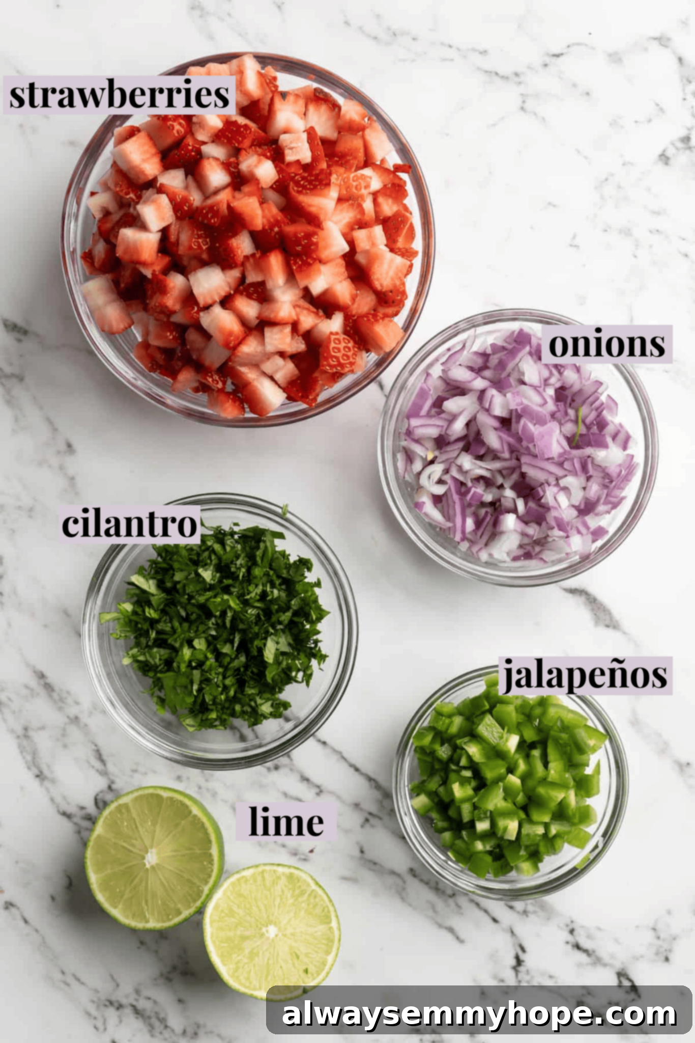 This 5-ingredient strawberry salsa takes only 10 minutes to make! It's a fresh, sweet, and spicy homemade salsa perfect for parties! Overhead view of ingredients for strawberry jalapeño salsa