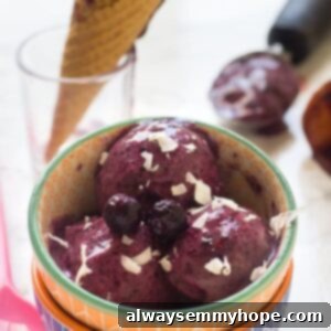 A scoop of delicious Vegan Blueberry Nice Cream in a bowl, garnished with fresh blueberries and coconut flakes.