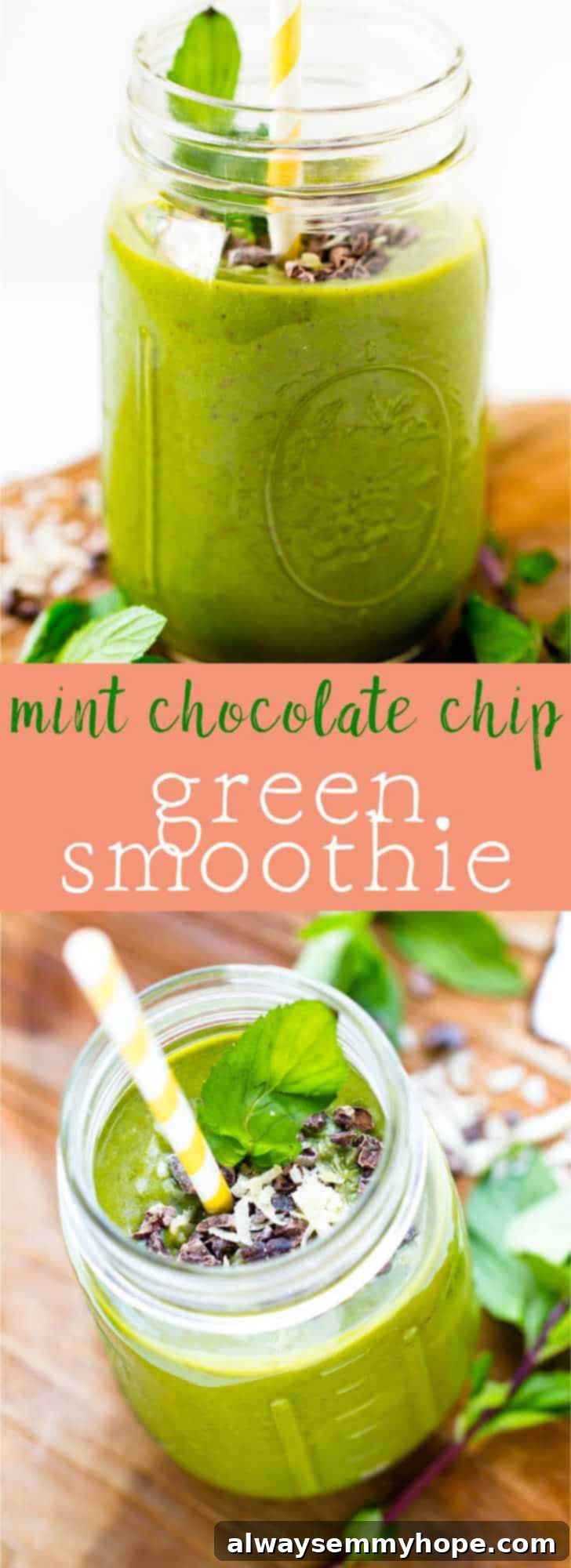 Mint Chocolate Chip Green Dream Smoothie 6 This Mint Chocolate Chip Green Smoothie is like dessert for breakfast with no guilt! It's quick, filling, and so tasty! via https://jessicainthekitchen.com