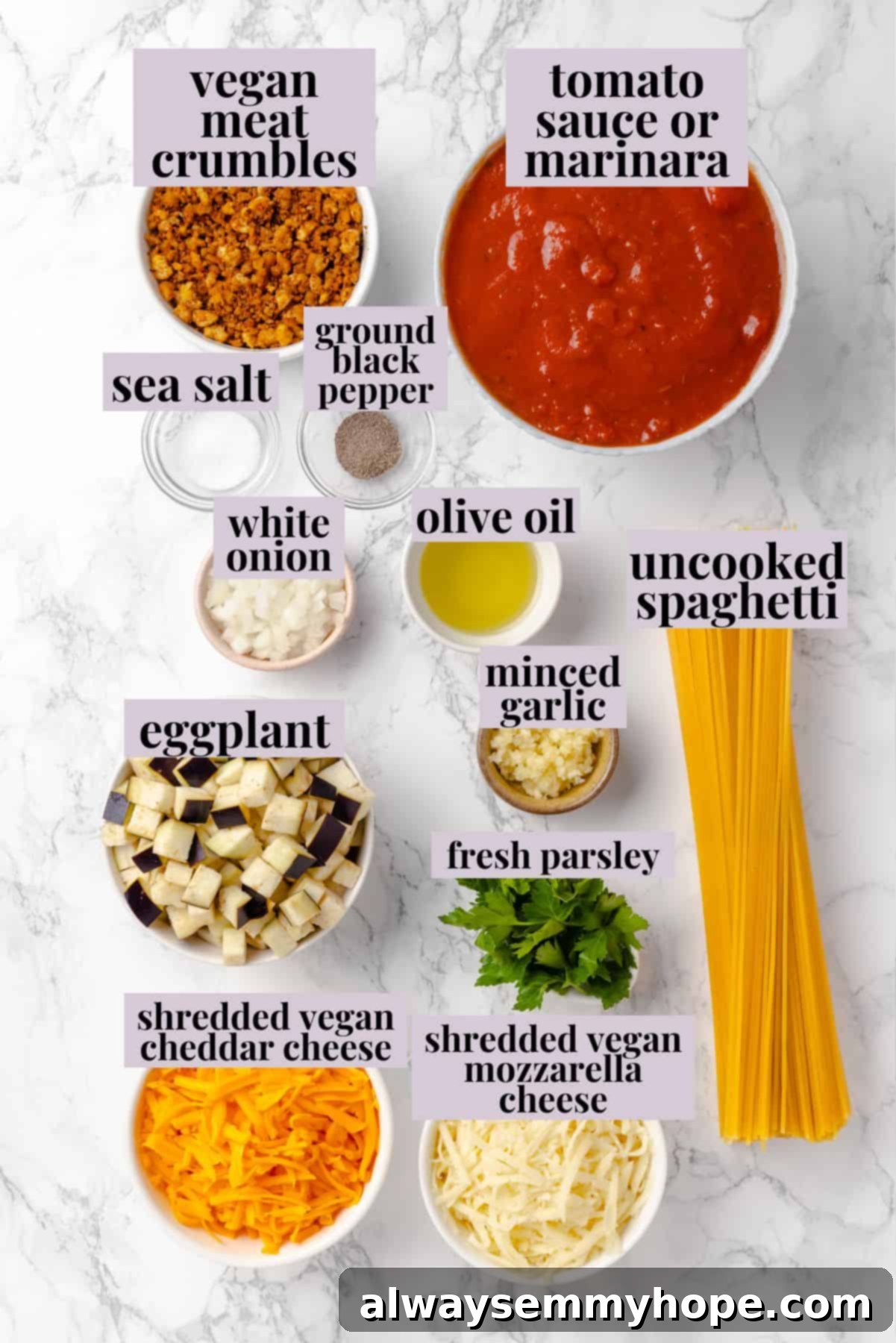 Overhead view of vegan baked spaghetti ingredients with labels