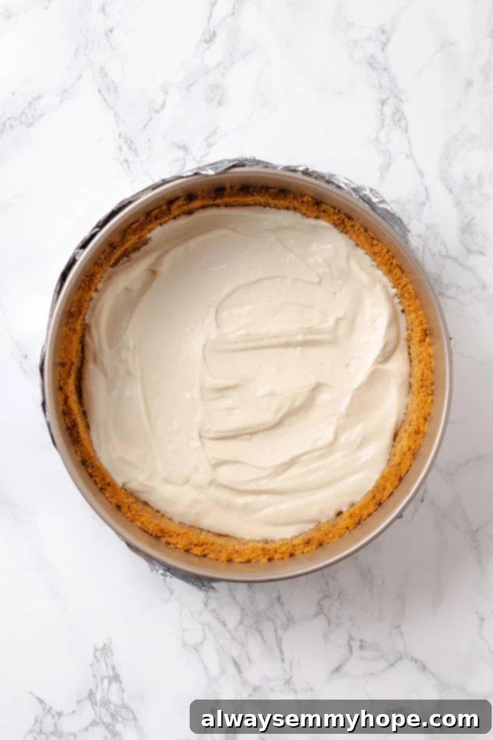 Vegan cheesecake mixture added to crust