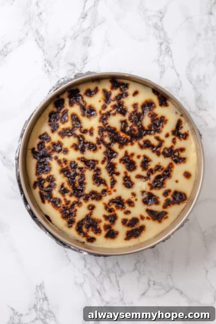 Baked cinnamon roll cheesecake in springform pan