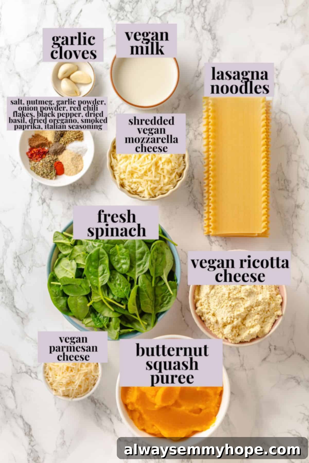 Ingredients for butternut squash lasagna, clearly labeled for easy identification and preparation.