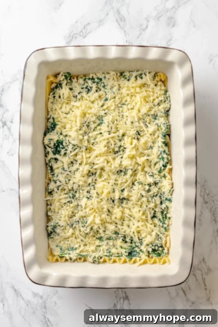 A beautiful layer of spinach and cheese, ready to be nestled between lasagna noodles and butternut squash filling.