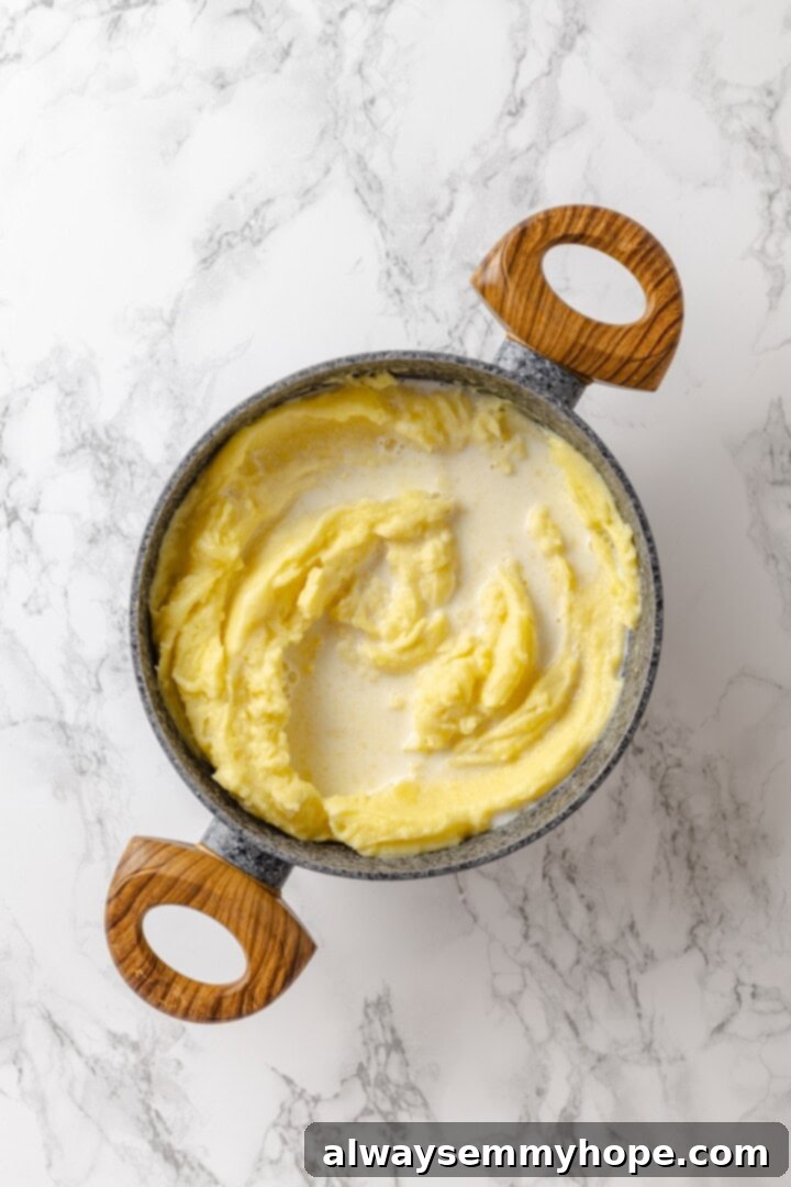 Vegan milk added to a pot of mashed potatoes.