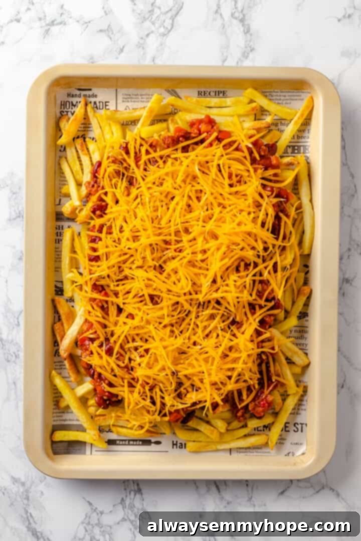 Vegan cheese added to chili fries