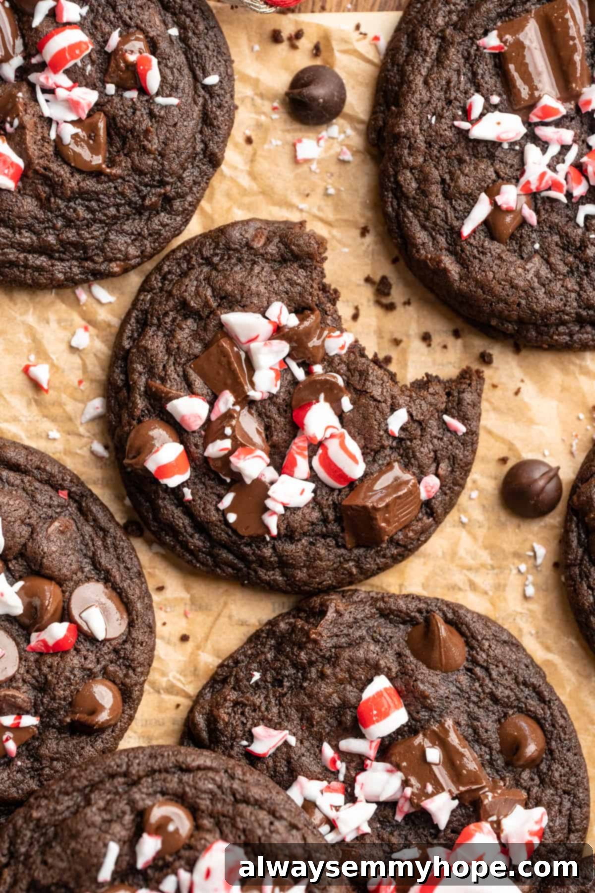 Chewy vegan peppermint chocolate cookies with candy cane topping.
