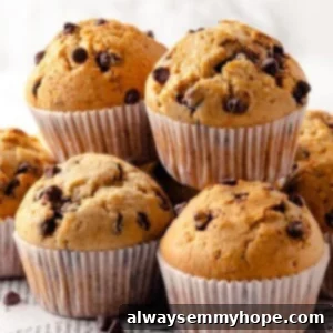 Stack of vegan chocolate chip muffins