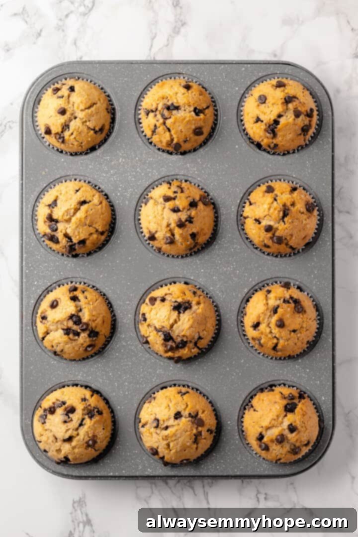 Freshly baked vegan chocolate chip muffins in a pan