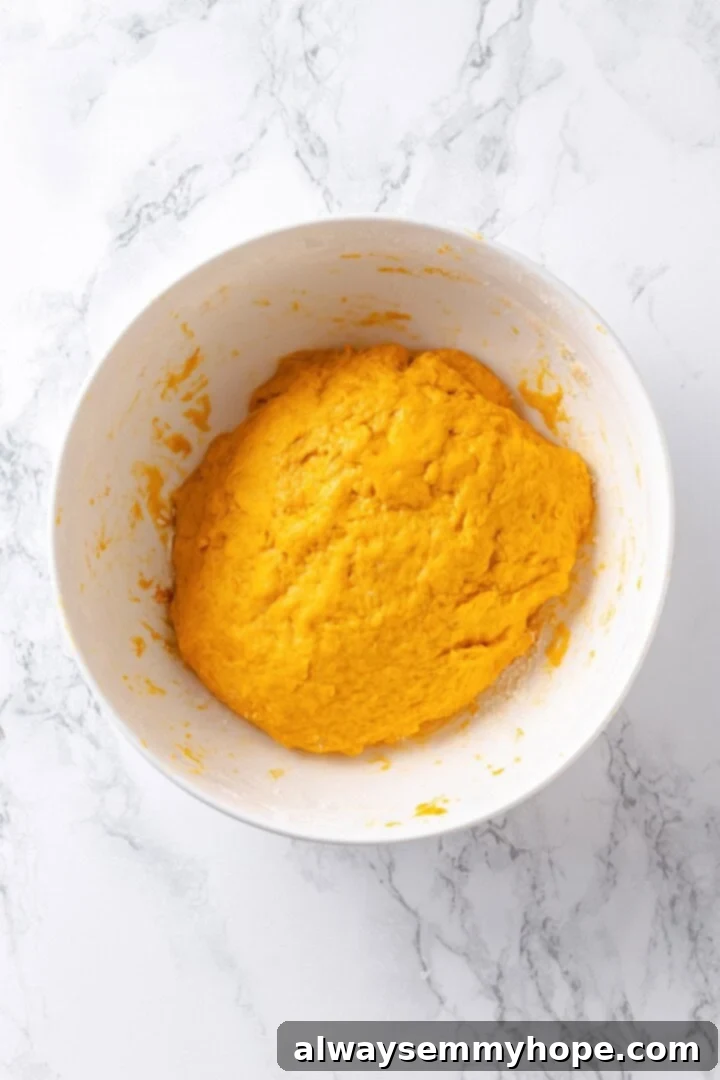Sweet potato gnocchi dough in mixing bowl.