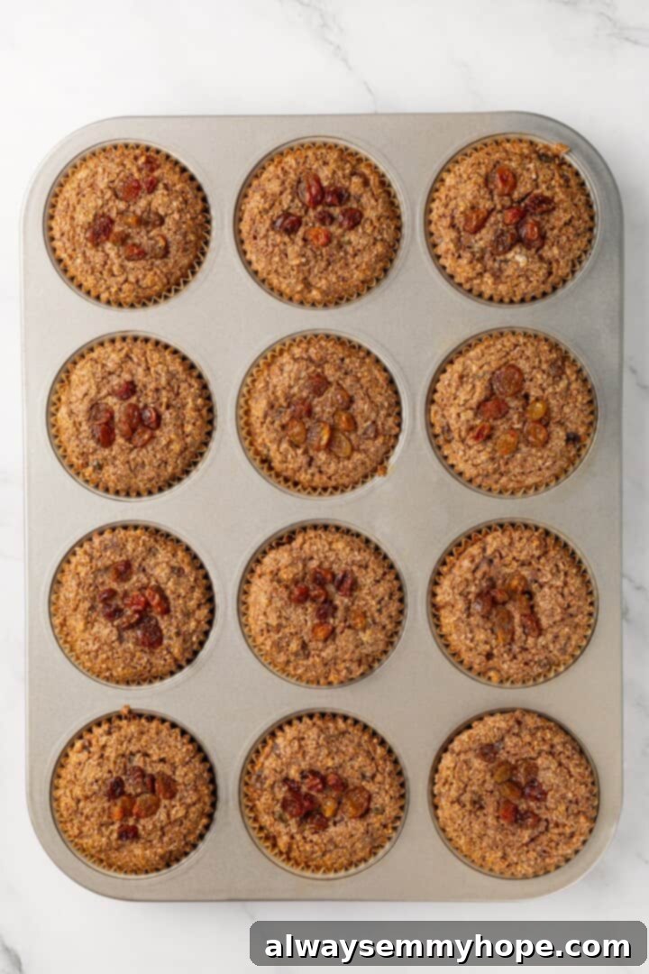 Baked cinnamon raisin bran muffins in a pan, fresh from the oven.