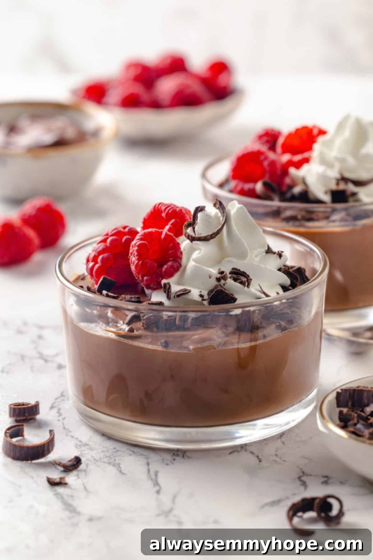 Vegan chocolate mousse made with silken tofu in two glass bowls