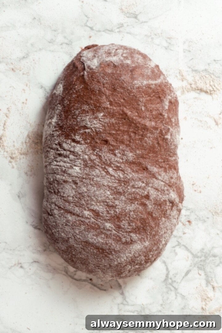 Pumpernickel Bread: A Deep Dive into Flavor and Tradition 6 Pumpernickel dough dusted with flour