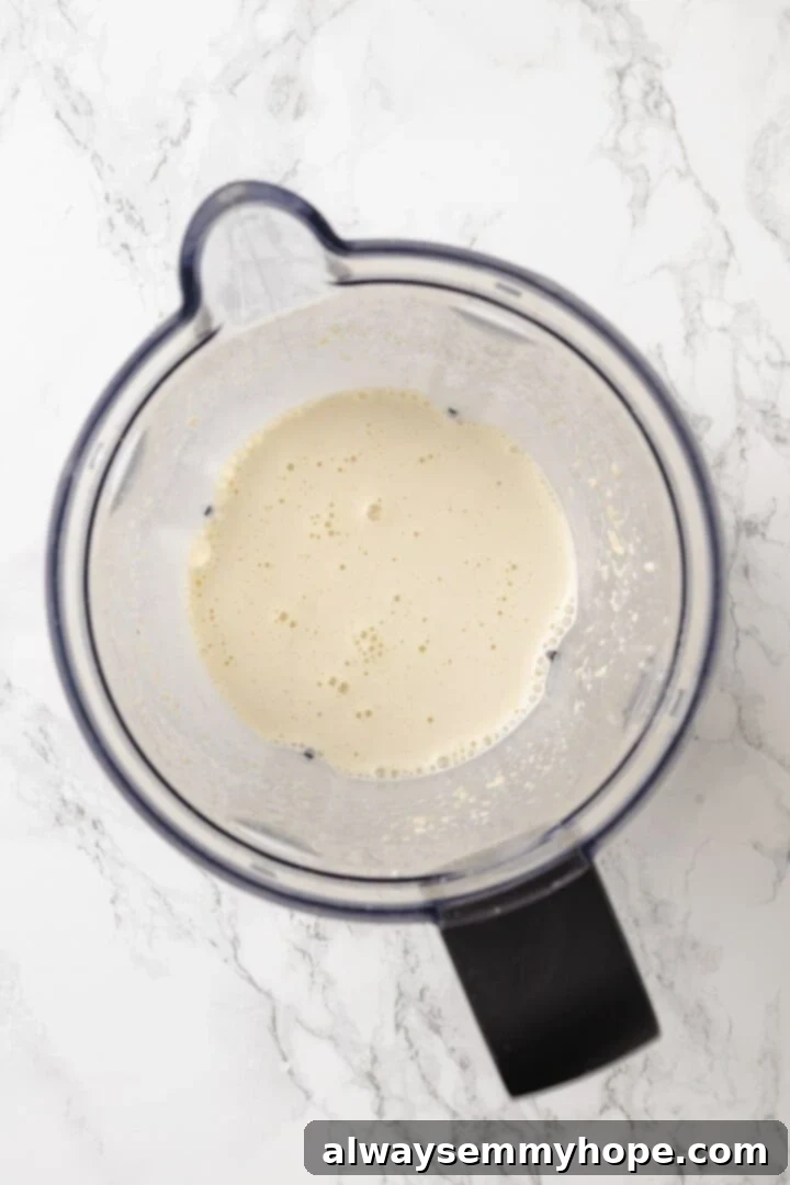 Mushroom Ravioli Delight 11 Creamy cashew sauce in blender.